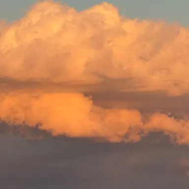 Profile image of リオ