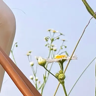 Iwannagohome82의 유지민