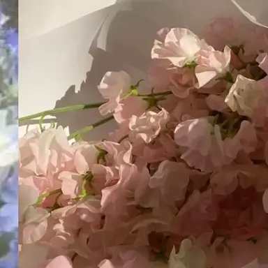 Profile image of 체사레 다 세스토