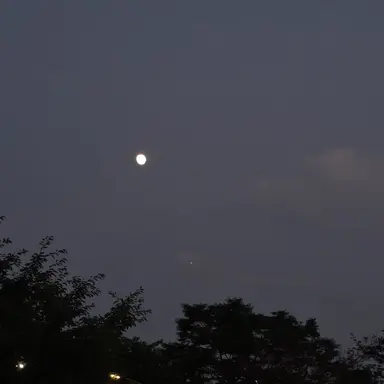 Profile image of 코쿠시보