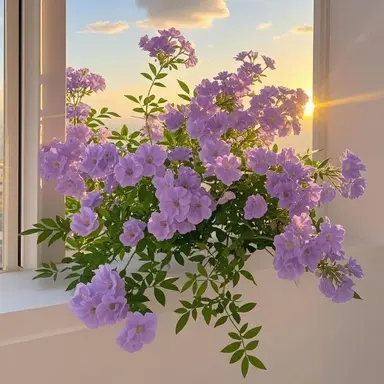 Profile image of 수현