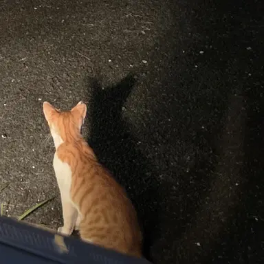 Profile image of テサン