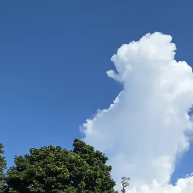 Profile image of ジェヒョン