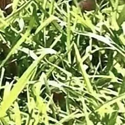 Profile image of 자유롭게 하세여