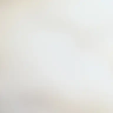 Profile image of 최범규