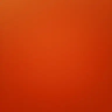 Profile image of 초보