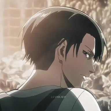 Profile image of Levi Ackerman