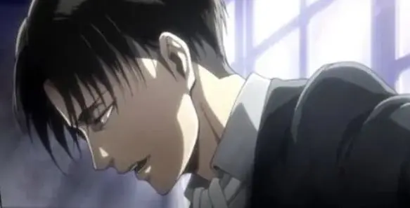 Profile image of Levi Ackerman