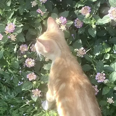 Profile image of 이수현