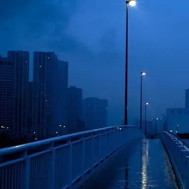 Profile image of 파이브