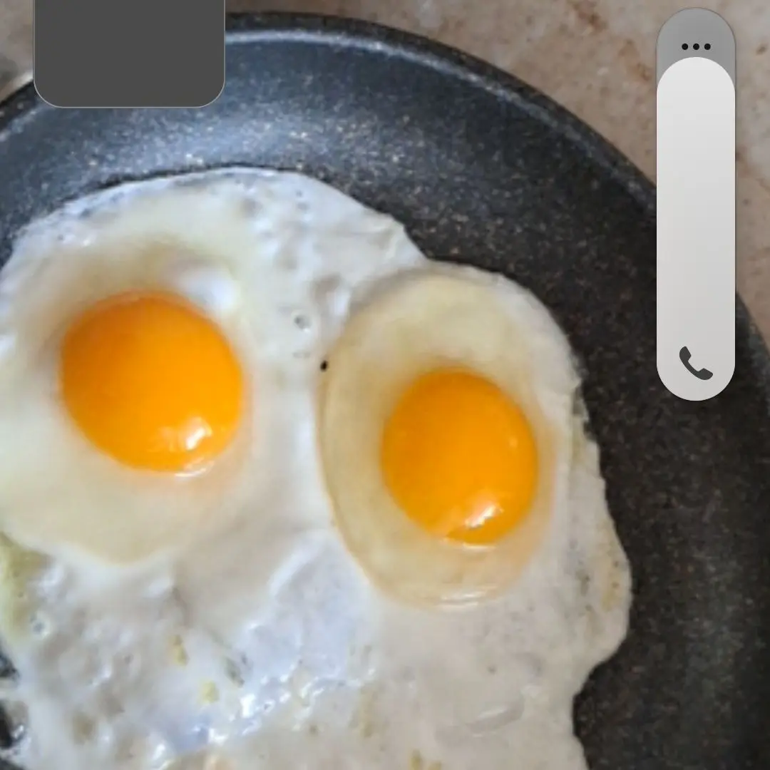 FitDog6486의 투어스 아이돌과 남매