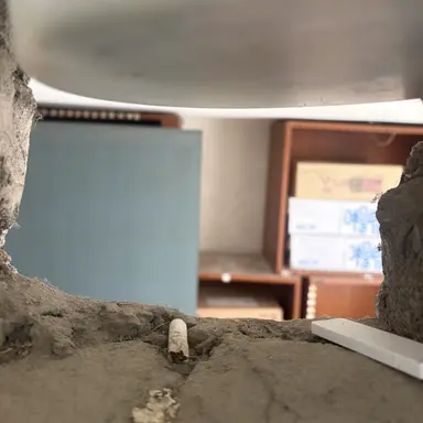 Profile image of 남자무리들