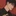 최태완