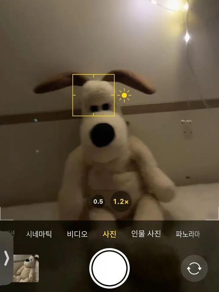 42242의 일진무리 뜰팁