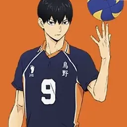 Profile image of 影山飛雄