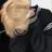 김 재혁