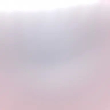 Profile image of 송하영