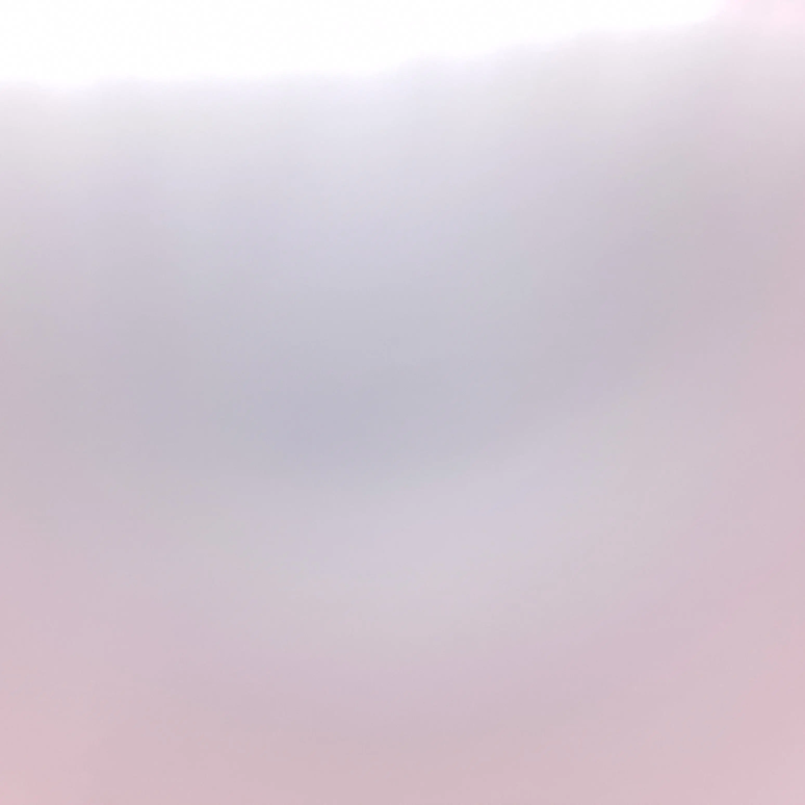 FutureXeme9712의 늑대와 송미호