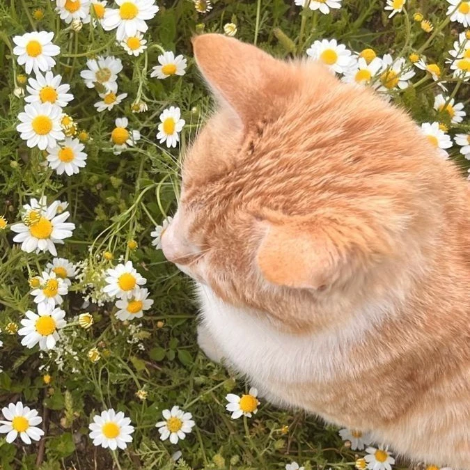 이짊훎