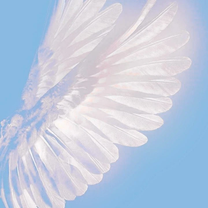 윤젊핢