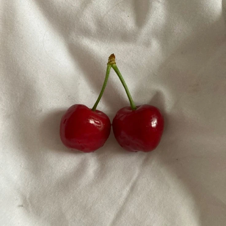 최슮철