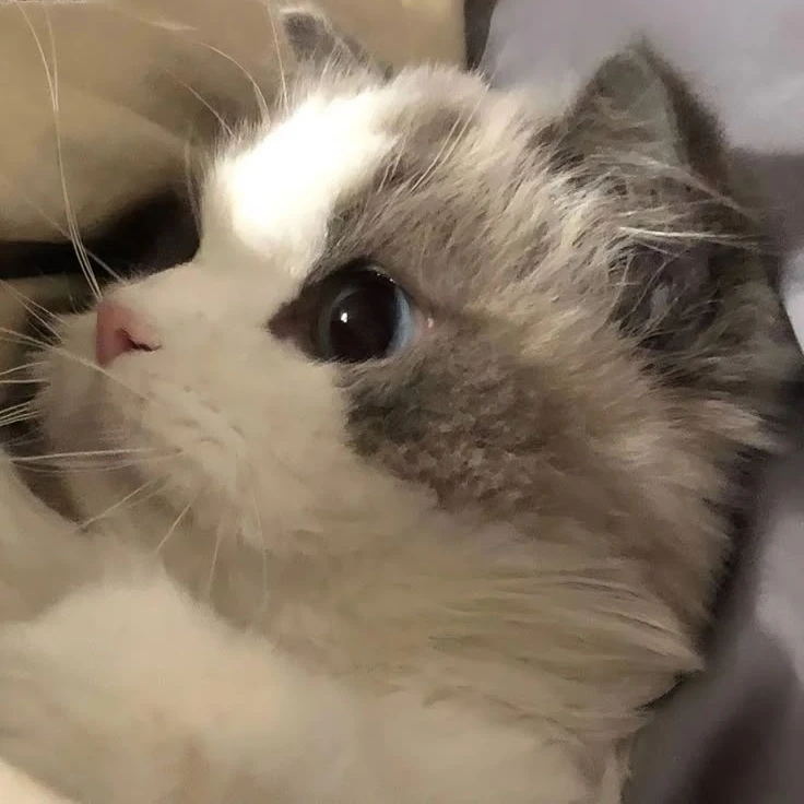 문줆휨