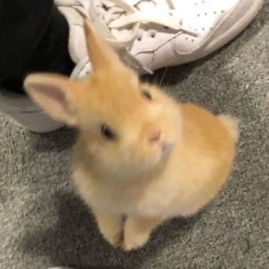 이민호 대표 이미지