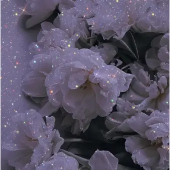 ga_in_0902의 황수현