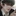 이지호