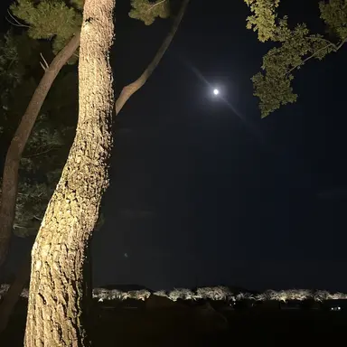 Profile image of 키아