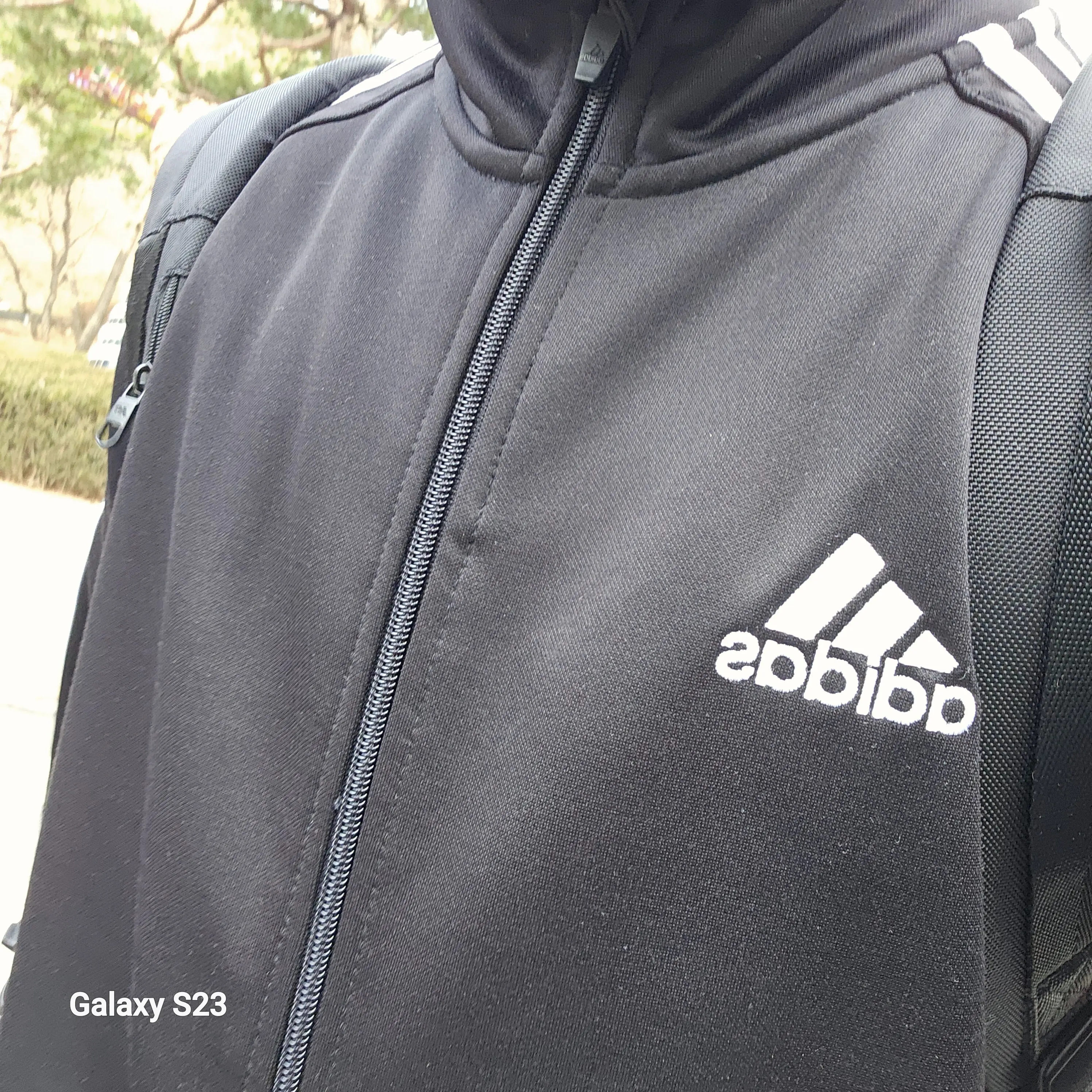 BumpyXeme3319의 선도한