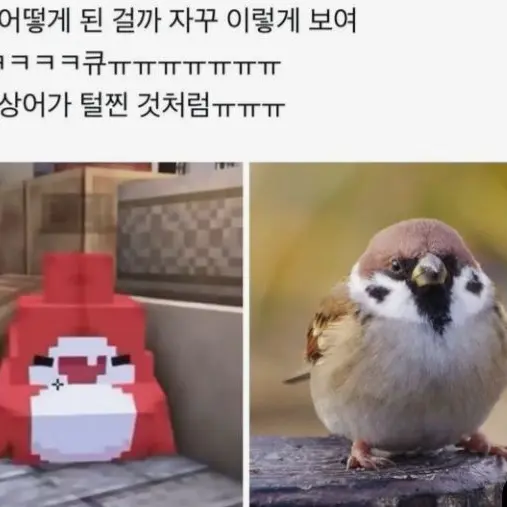 stella0914의 수학여행