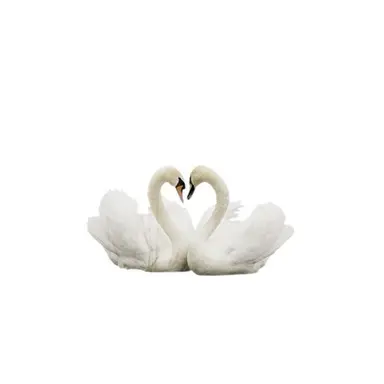 Profile image of 쥬타로