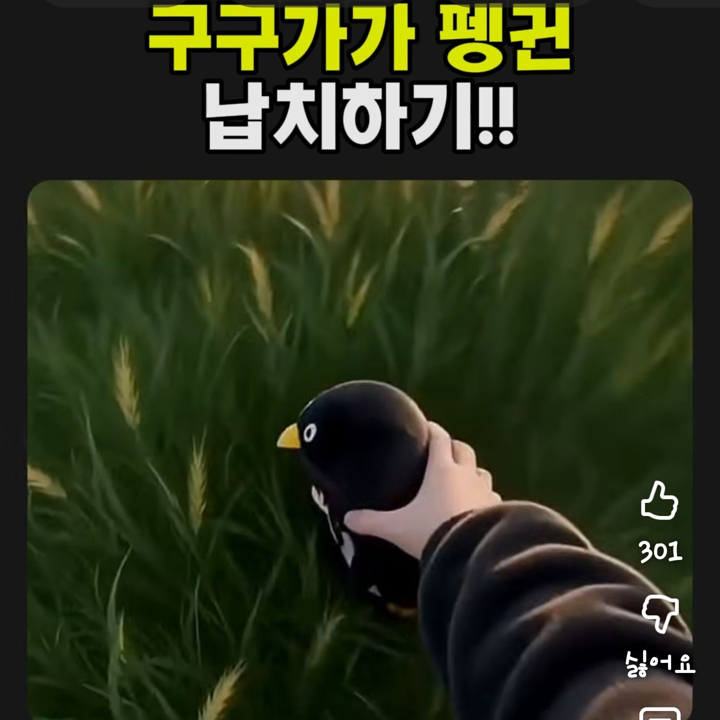 구구가가 펭귄 들반 대표 이미지