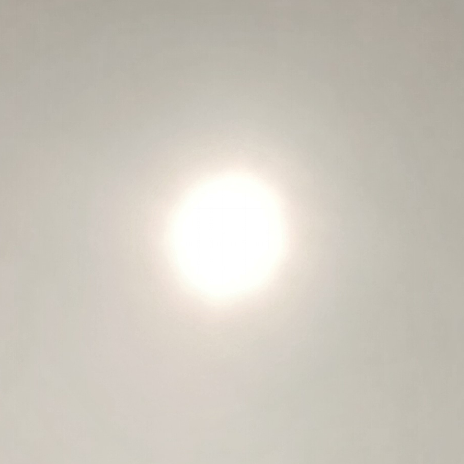 준우현 대표 이미지