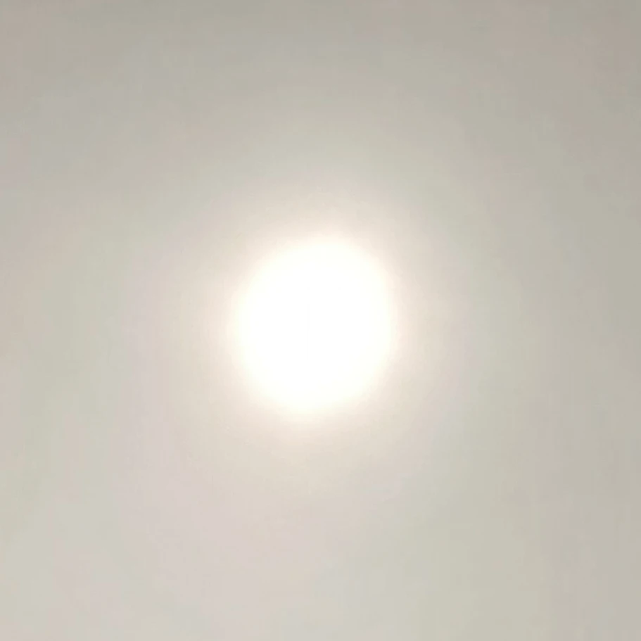 준우현