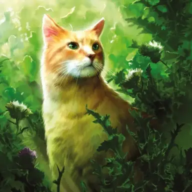 Profile image of 샌드스톰