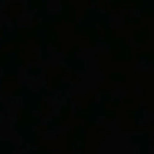 샤론 드 마르셸