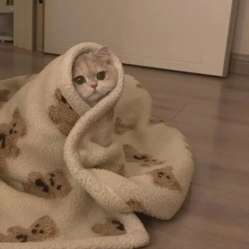 같이 방송하자~ 대표 이미지