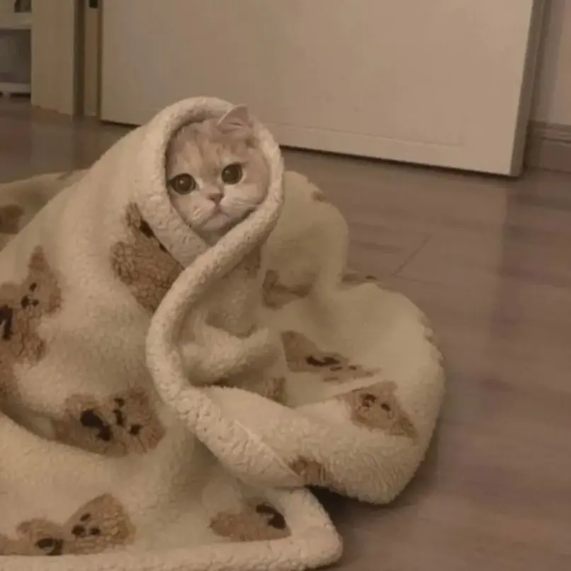 91_의 같이 방송하자~