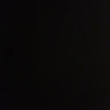 Profile image of 진아리