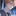 박정한