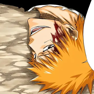 Profile image of 黒崎一護