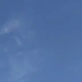 Profile image of いせ  たくや