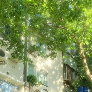 Profile image of 이핑구