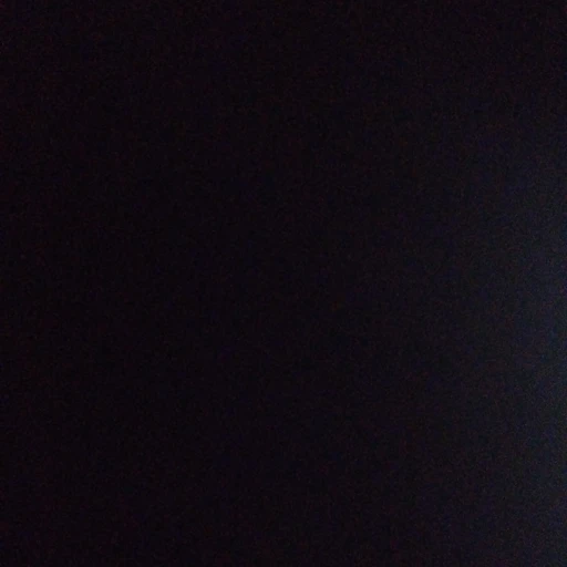 日本家