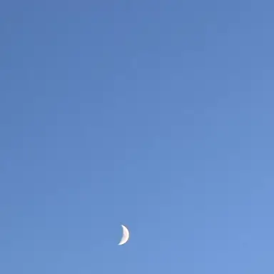 Profile image of 이서
