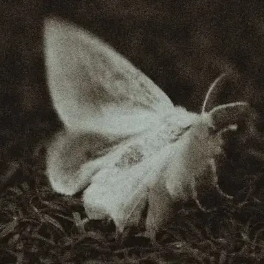 Profile image of 이반 슬라바