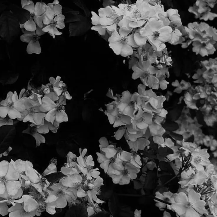 nemuri_nemui의 家庭教師