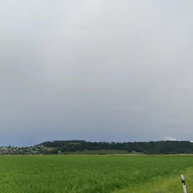 Profile image of 로보 프로스터